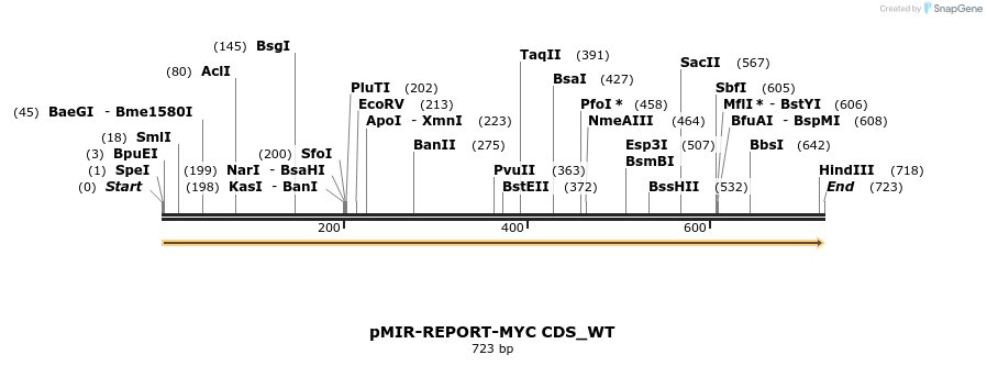 205332_map