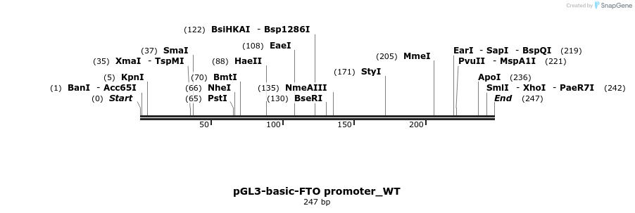 205334_map