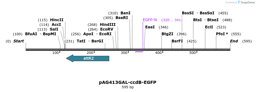 20534_map