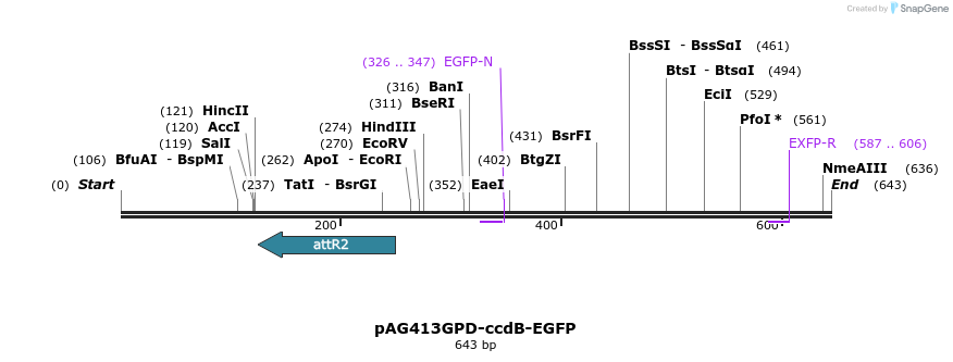 20537_map