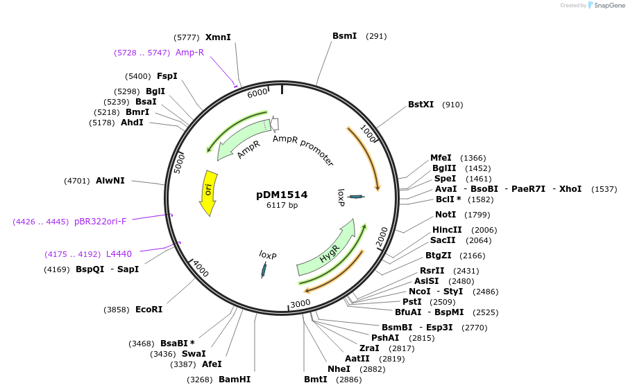 205379_map