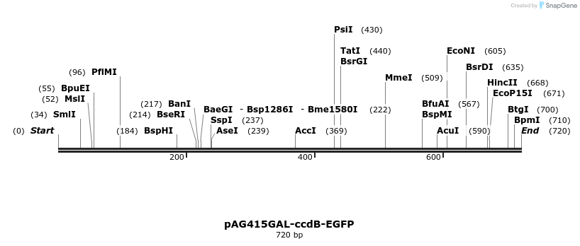 20544_map