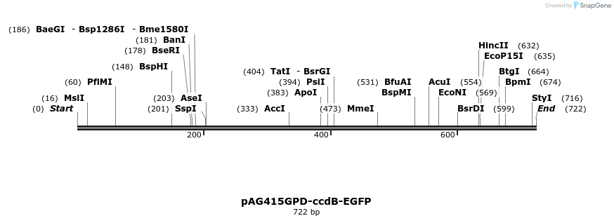 20547_map