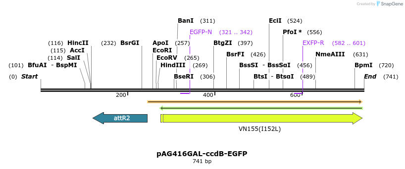 20552_map