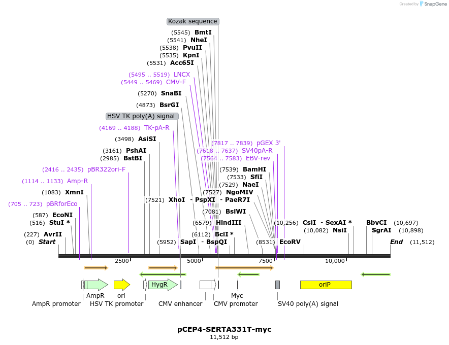 205560_map