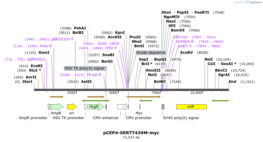 205581_map