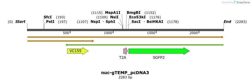 205605_map