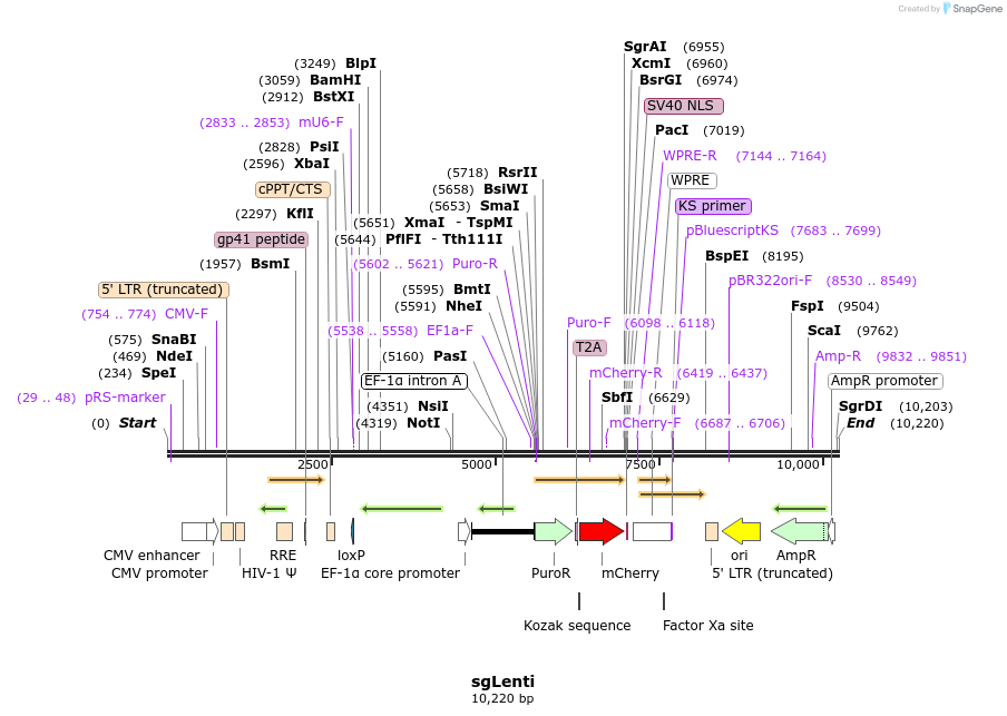205606_map