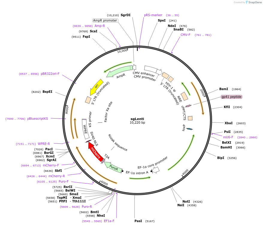 205607_map