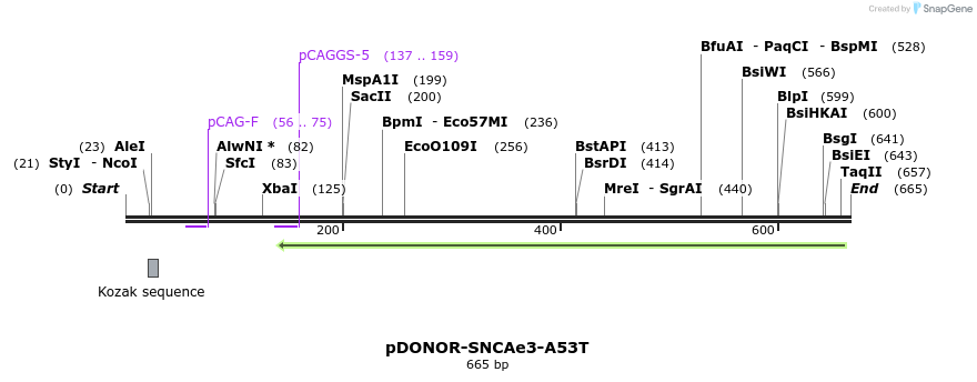 205608_map