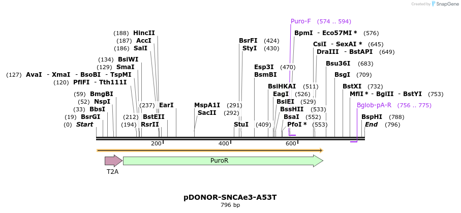 205609_map