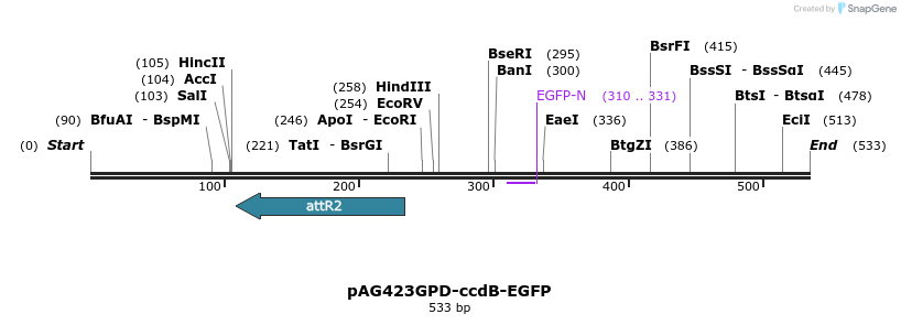 20561_map