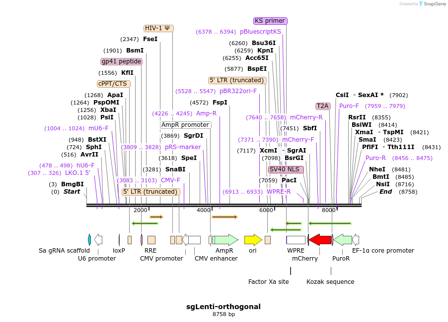 205612_map