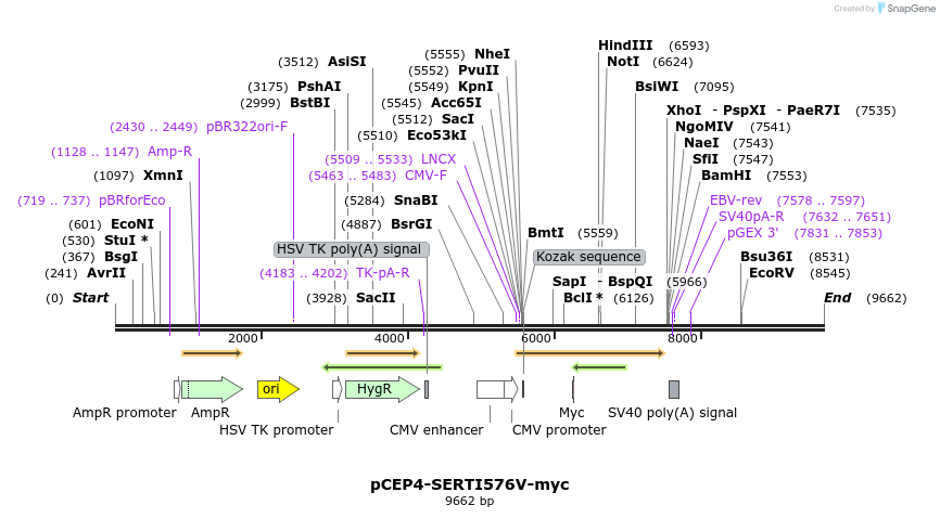 205616_map
