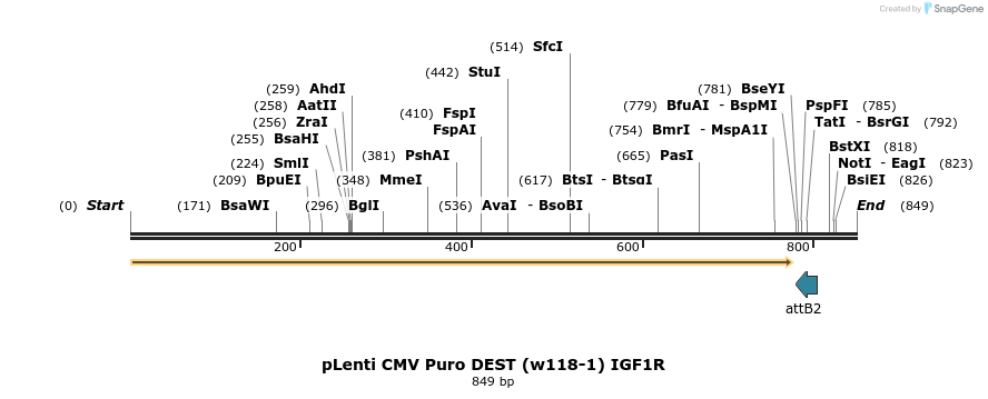 205631_map