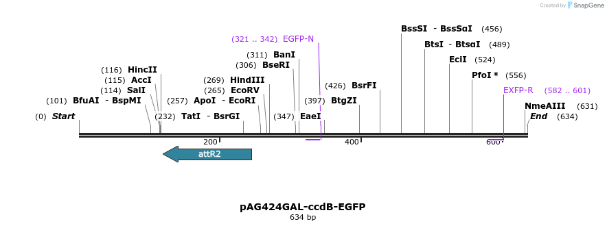 20564_map