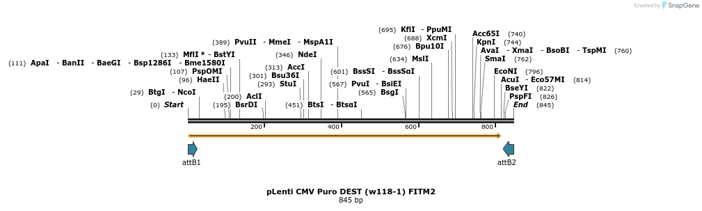 205649_map