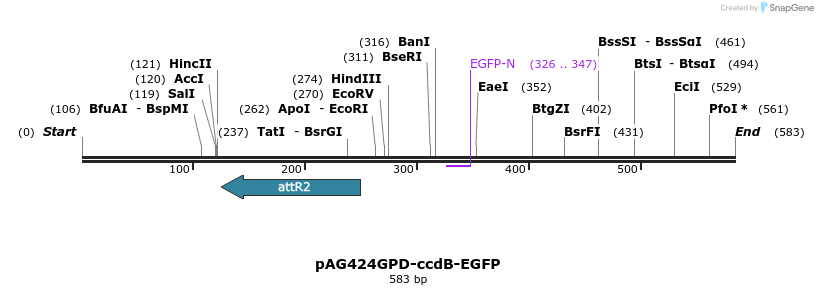 20567_map