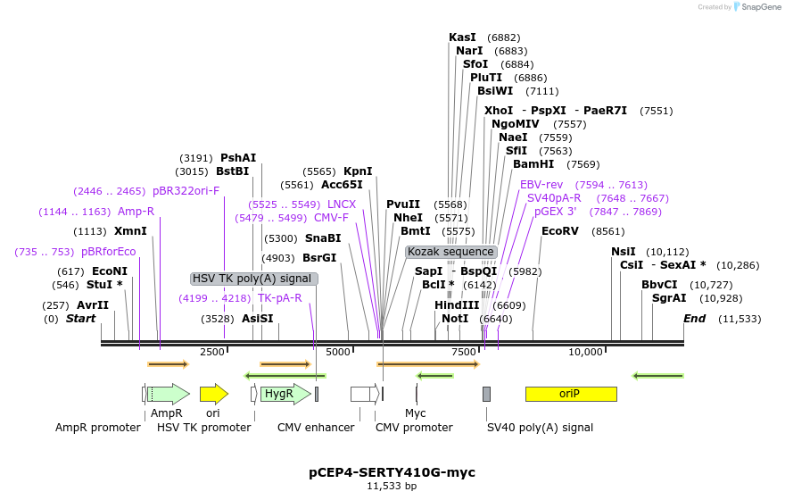 205678_map