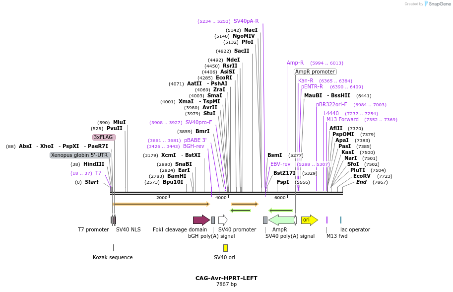 205682_map