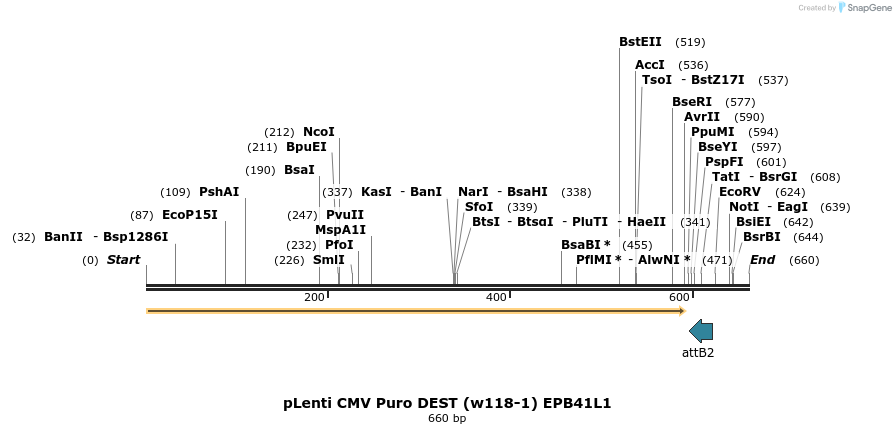 205684_map