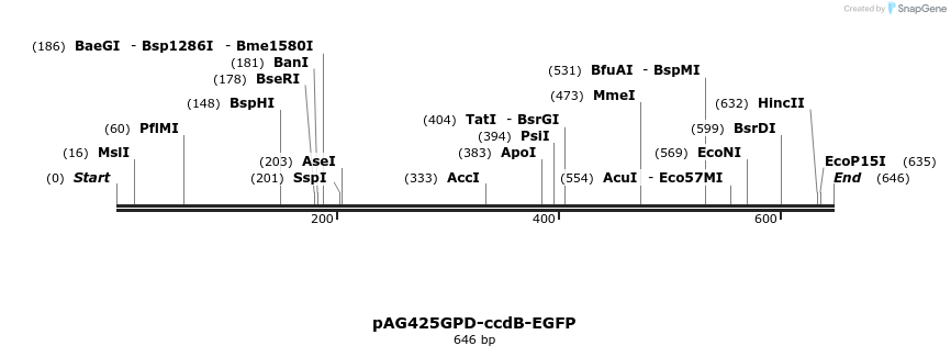 20571_map