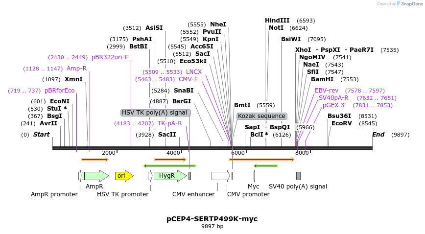 205710_map