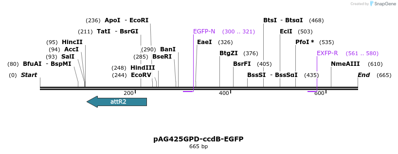 20573_map