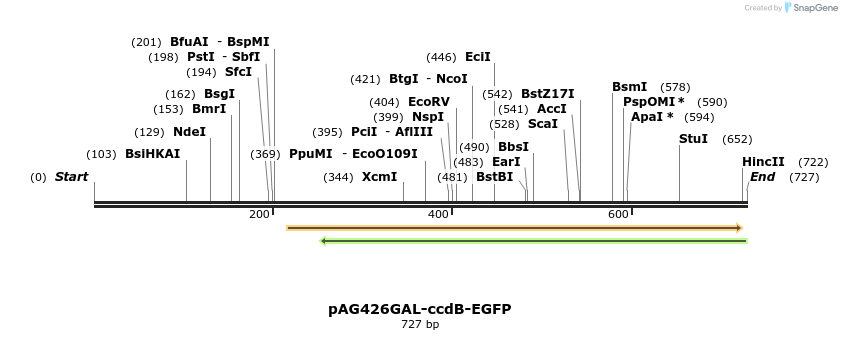 20574_map