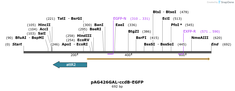 20576_map