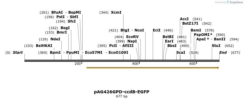 20577_map