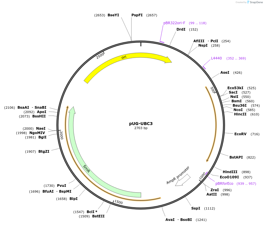 205775_map