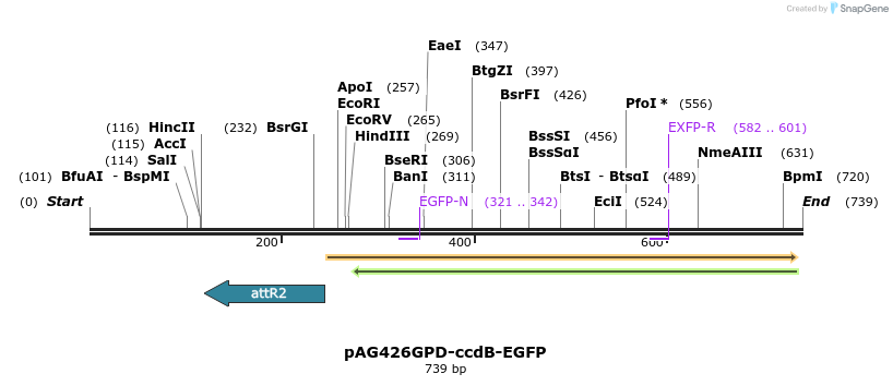 20579_map