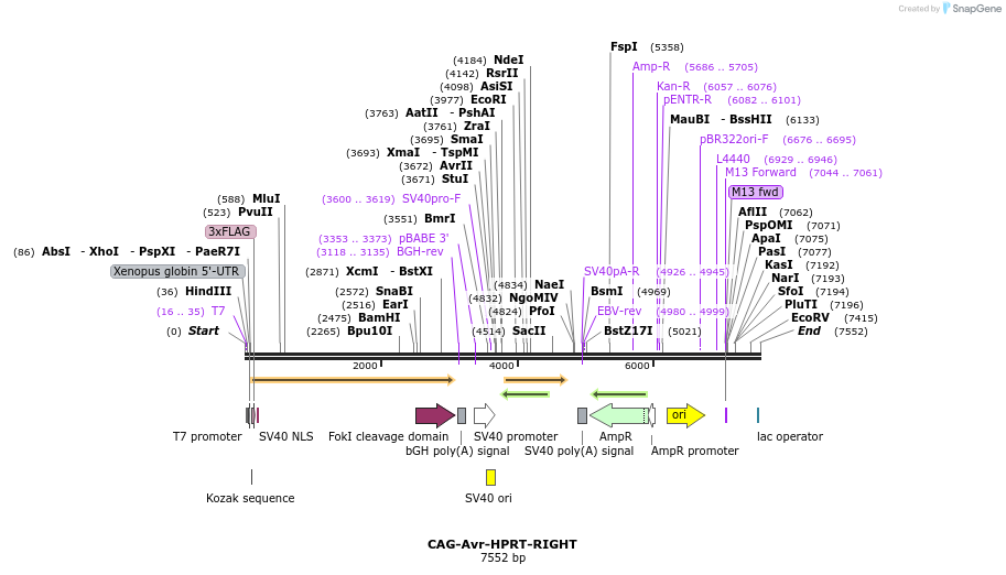 205802_map