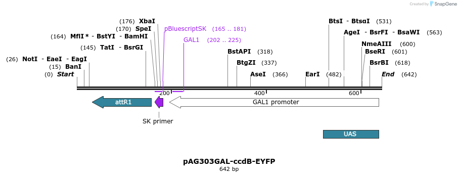20581_map
