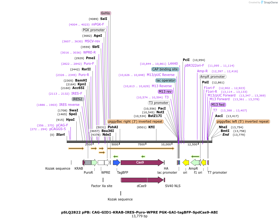 205810_map