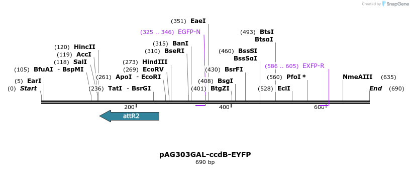 20582_map