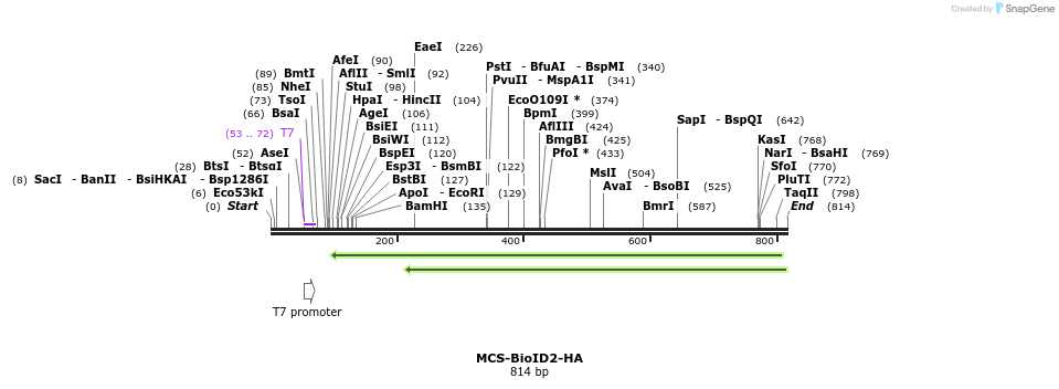 205827_map