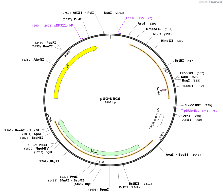 205832_map
