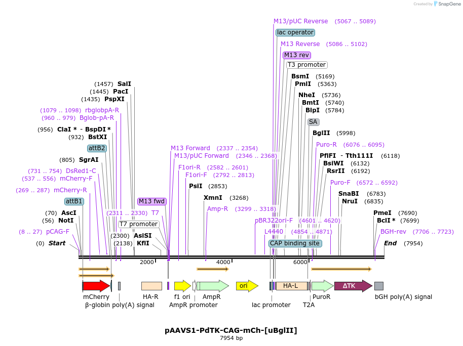 205841_map