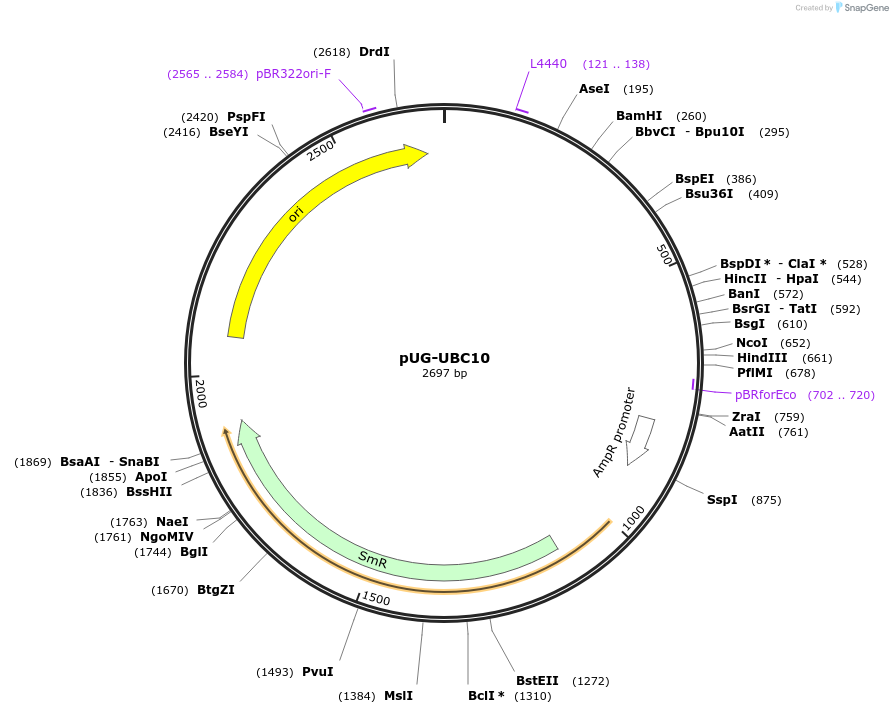 205842_map