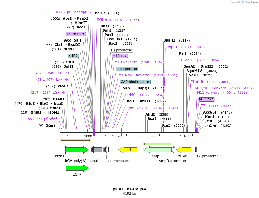 205859_map