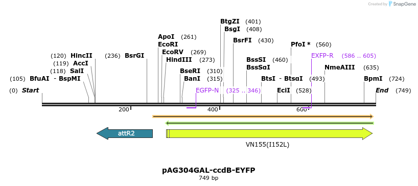 20586_map