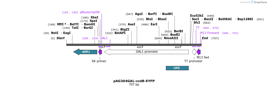 20588_map