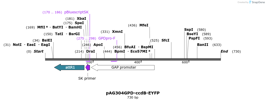 20590_map