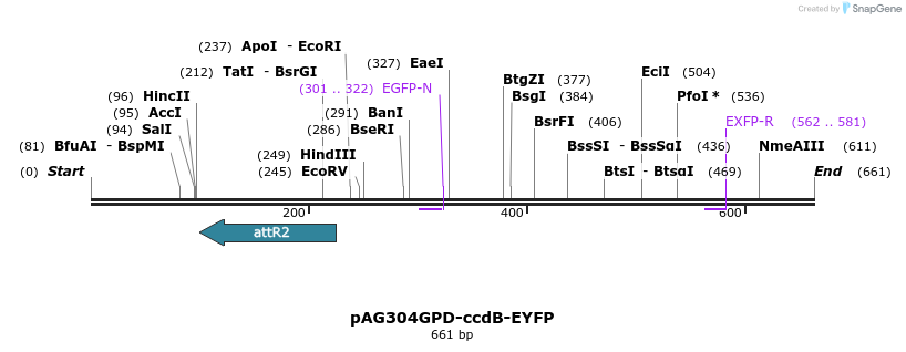 20591_map