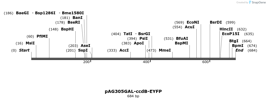 20592_map