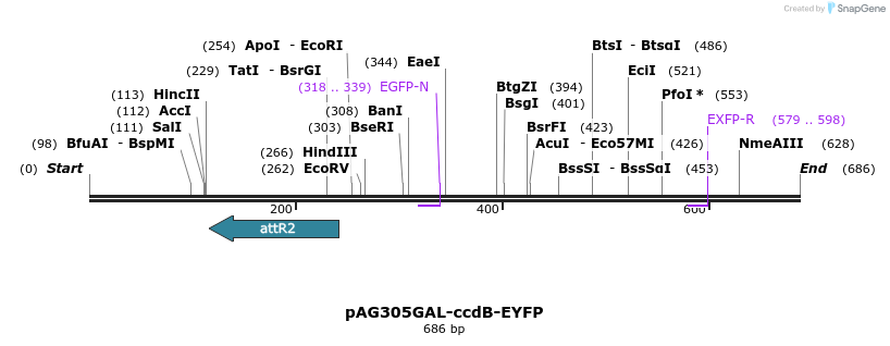 20594_map