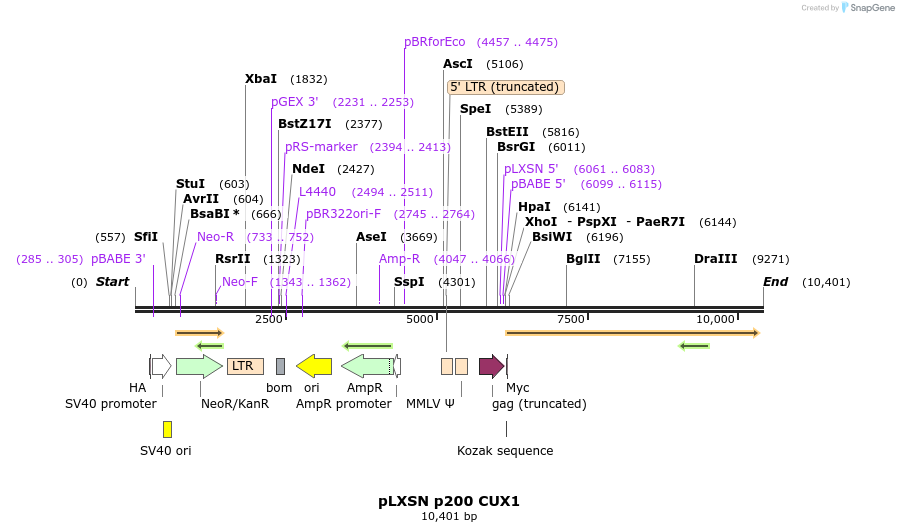 205956_map