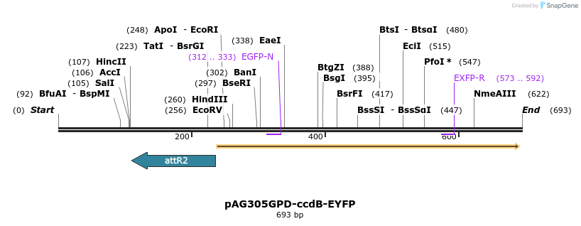 20597_map